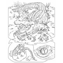 Dessin à colorier: Crocodile (Animaux) #4820 - Coloriages à Imprimer Gratuits