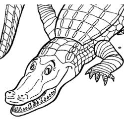 Dessin à colorier: Crocodile (Animaux) #4844 - Coloriages à Imprimer Gratuits