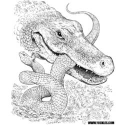 Dessin à colorier: Crocodile (Animaux) #4854 - Coloriages à Imprimer Gratuits