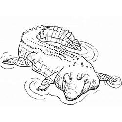 Dessin à colorier: Crocodile (Animaux) #4910 - Coloriages à Imprimer Gratuits