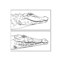 Dessin à colorier: Crocodile (Animaux) #4978 - Coloriages à Imprimer Gratuits