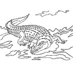 Dessin à colorier: Crocodile (Animaux) #4984 - Coloriages à Imprimer Gratuits