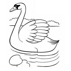 Coloriage Cygne (Animaux) #185220 à imprimer et colorier