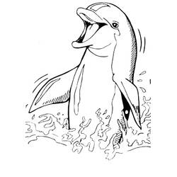 Coloriage gratuit Dauphin (Animaux) #217207 à colorier aux crayons