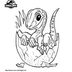 Dessin à colorier: Dinosaure (Animaux) #5538 - Coloriages à imprimer
