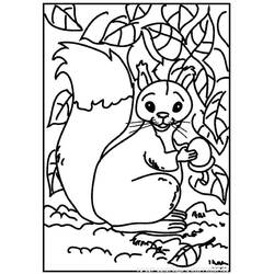 Dessin à colorier: Écureuil (Animaux) #6100 - Coloriages à Imprimer Gratuits
