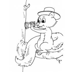 Dessin à colorier: Écureuil (Animaux) #6168 - Coloriages à Imprimer Gratuits