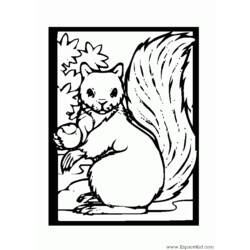 Dessin à colorier: Écureuil (Animaux) #6195 - Coloriages à Imprimer Gratuits