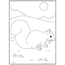 Dessin à colorier: Écureuil (Animaux) #6202 - Coloriages à Imprimer Gratuits