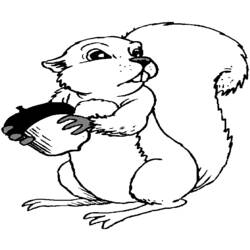 Dessin à colorier: Écureuil (Animaux) #6228 - Coloriages à Imprimer Gratuits