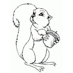 Dessin à colorier: Écureuil (Animaux) #6242 - Coloriages à Imprimer Gratuits