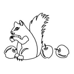Dessin à colorier: Écureuil (Animaux) #6255 - Coloriages à Imprimer Gratuits