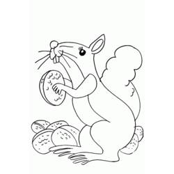 Dessin à colorier: Écureuil (Animaux) #6256 - Coloriages à Imprimer Gratuits