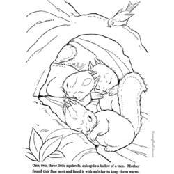 Dessin à colorier: Écureuil (Animaux) #6267 - Coloriages à Imprimer Gratuits