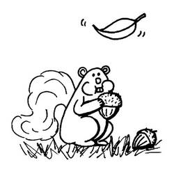 Dessin à colorier: Écureuil (Animaux) #6284 - Coloriages à Imprimer Gratuits