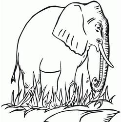 Coloriage Éléphant (Animaux) #175063 à imprimer et colorier