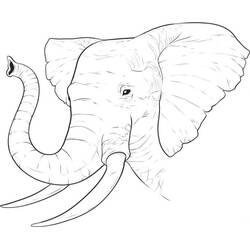 Coloriage Éléphant (Animaux) #175068 à imprimer et colorier