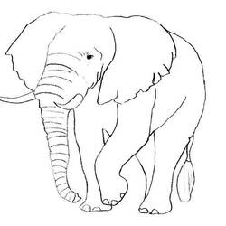 Dessin à colorier: Éléphant (Animaux) #6316 - Coloriages à imprimer