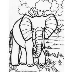 Dessin à colorier: Éléphant (Animaux) #6327 - Coloriages à imprimer