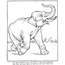 Dessin à colorier: Éléphant (Animaux) #6418 - Coloriages à imprimer