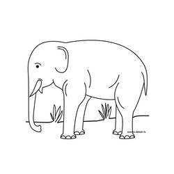 Dessin à colorier: Éléphant (Animaux) #6440 - Coloriages à Imprimer Gratuits