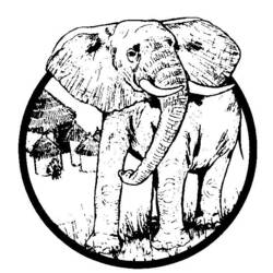 Dessin à colorier: Éléphant (Animaux) #6485 - Coloriages à Imprimer Gratuits