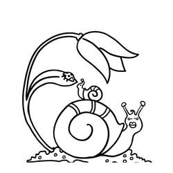 Dessin à colorier: Escargot (Animaux) #6526 - Coloriages à Imprimer