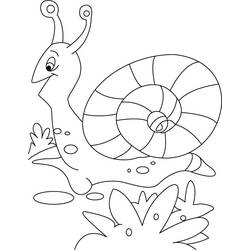 Dessin à colorier: Escargot (Animaux) #6590 - Coloriages à Imprimer