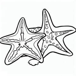 Dessin à colorier: Étoile de mer (Animaux) #187137 - Coloriages à Imprimer Gratuits