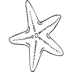 Dessin à colorier: Étoile de mer (Animaux) #187139 - Coloriages à Imprimer Gratuits