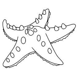 Dessin à colorier: Étoile de mer (Animaux) #187141 - Coloriages à Imprimer Gratuits