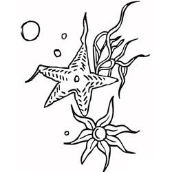 Dessin à colorier: Étoile de mer (Animaux) #187147 - Coloriages à Imprimer Gratuits
