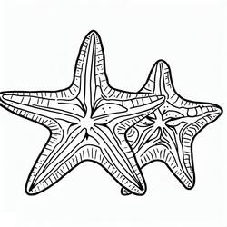 Dessin à colorier: Étoile de mer (Animaux) #187153 - Coloriages à Imprimer Gratuits