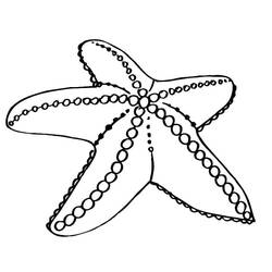 Dessin à colorier: Étoile de mer (Animaux) #187154 - Coloriages à Imprimer Gratuits