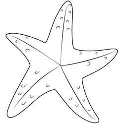 Dessin à colorier: Étoile de mer (Animaux) #187171 - Coloriages à Imprimer Gratuits