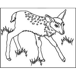Dessin à colorier: Faon (Animaux) #206073 - Coloriages à Imprimer Gratuits