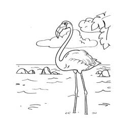 Coloriage Flamant Rose (Animaux) #198782 à imprimer et colorier