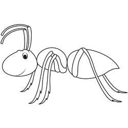 Coloriage Fourmi (Animaux) #196480 à imprimer et colorier