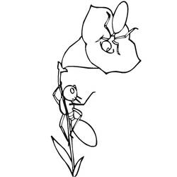 Coloriage Fourmi (Animaux) #196493 à imprimer et colorier