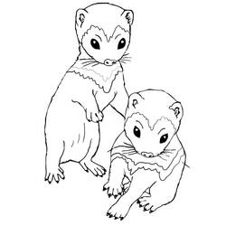 Dessin à colorier: Furet (Animaux) #205384 - Coloriages à Imprimer Gratuits