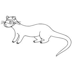 Dessin à colorier: Furet (Animaux) #205385 - Coloriages à Imprimer Gratuits