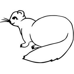 Dessin à colorier: Furet (Animaux) #205387 - Coloriages à Imprimer Gratuits