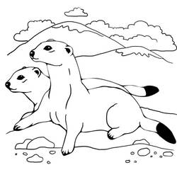 Dessin à colorier: Furet (Animaux) #205388 - Coloriages à Imprimer Gratuits
