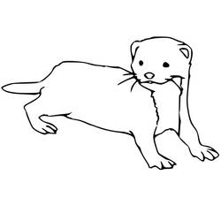 Dessin à colorier: Furet (Animaux) #205391 - Coloriages à Imprimer Gratuits