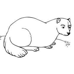 Dessin à colorier: Furet (Animaux) #205395 - Coloriages à Imprimer Gratuits