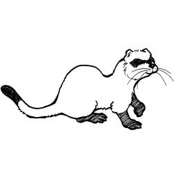 Dessin à colorier: Furet (Animaux) #205397 - Coloriages à Imprimer Gratuits