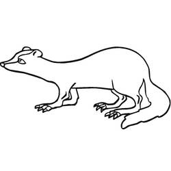 Dessin à colorier: Furet (Animaux) #205398 - Coloriages à Imprimer Gratuits