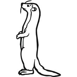 Dessin à colorier: Furet (Animaux) #205400 - Coloriages à Imprimer Gratuits