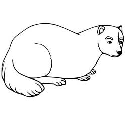 Dessin à colorier: Furet (Animaux) #205407 - Coloriages à Imprimer Gratuits