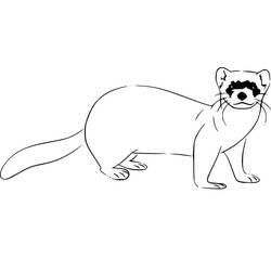 Dessin à colorier: Furet (Animaux) #205409 - Coloriages à Imprimer Gratuits